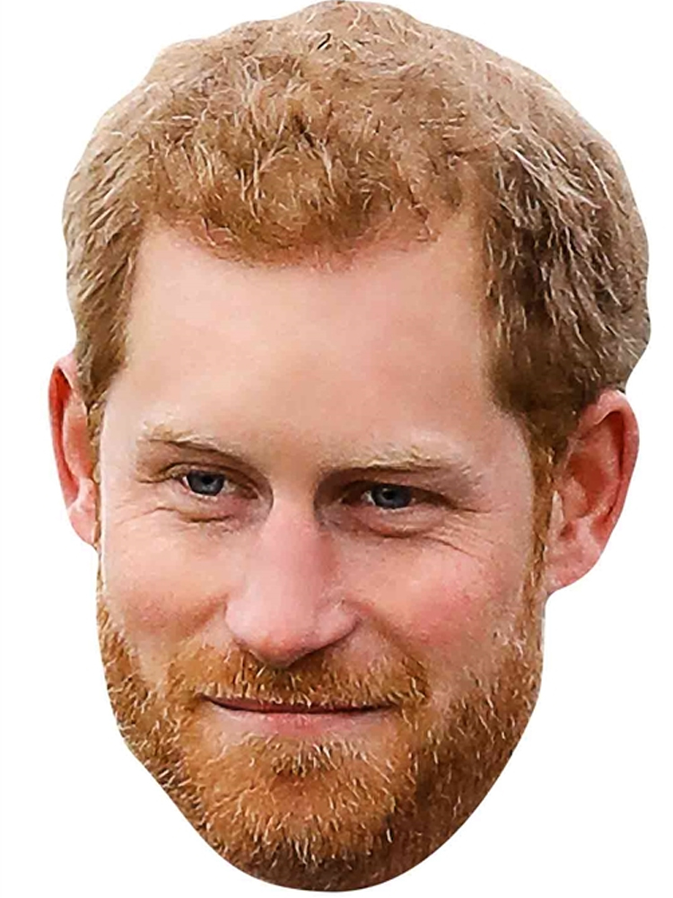 Prince Harry Beard Novelties Parties Direct Ltd